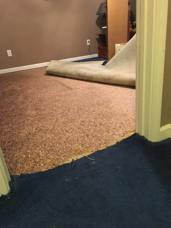 Carpet pad removal revealing water damage during Drying & Dehumidification in Lugoff